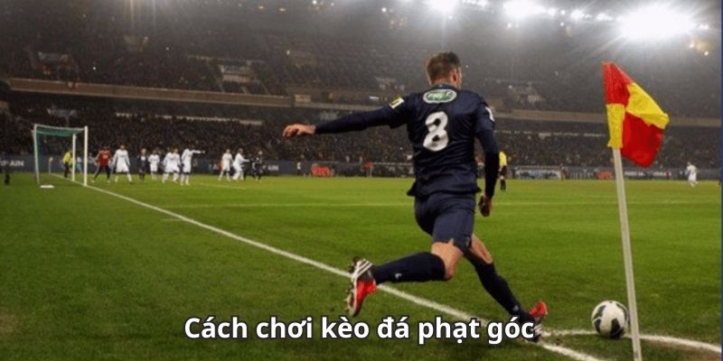 Yếu tố quyết định khi soi kèo phạt góc
