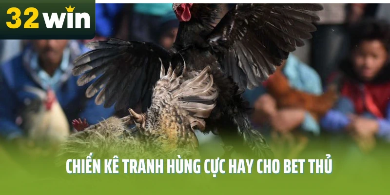 Rất nhiều hình thức đá gà phổ biến