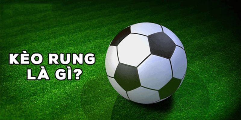Tìm hiểu bản chất của kèo rung bóng đá